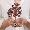 Karma and Luck  Tree of life  -  Pursuit of Passion Feng Shui Garnet Stone Tree
