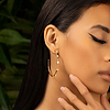 Picture of Feminine Spirituality - Multi Symbol Hoop Earrings