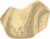 Image of 