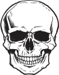 Image of 